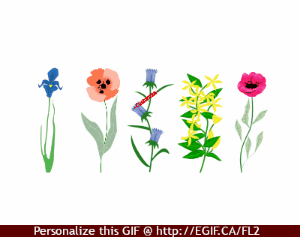 Flowers in a row with message gif