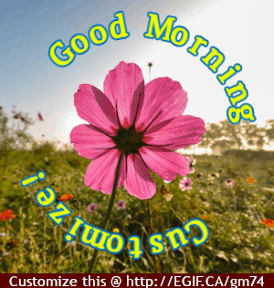 Good Morning Cosmos Flower GIF